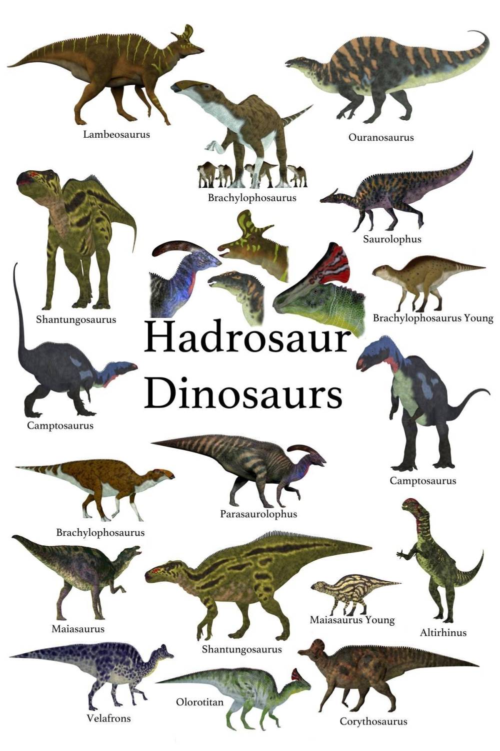 Hadrosauridae-seznam-dinosauru