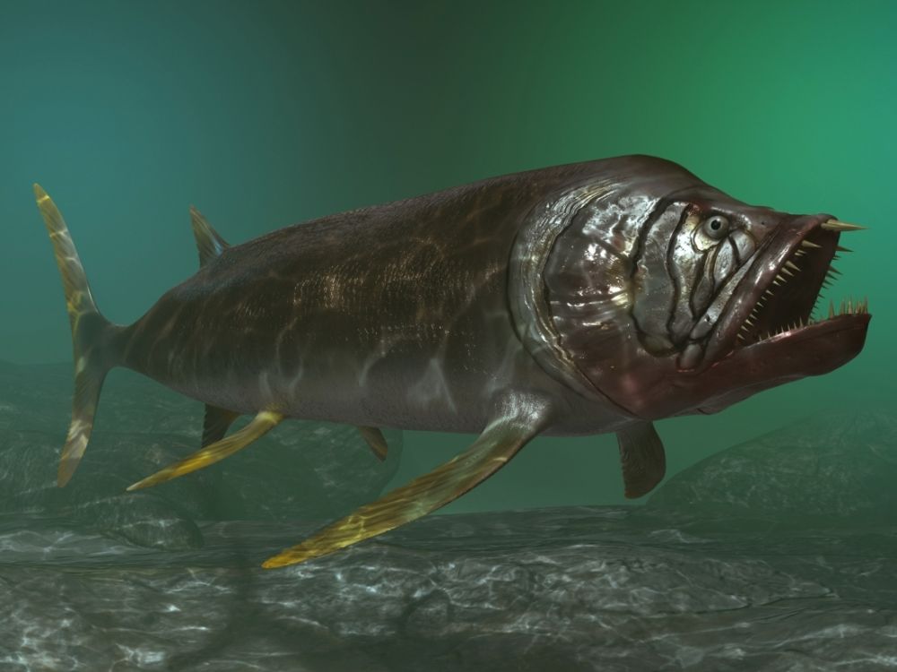 Xiphactinus