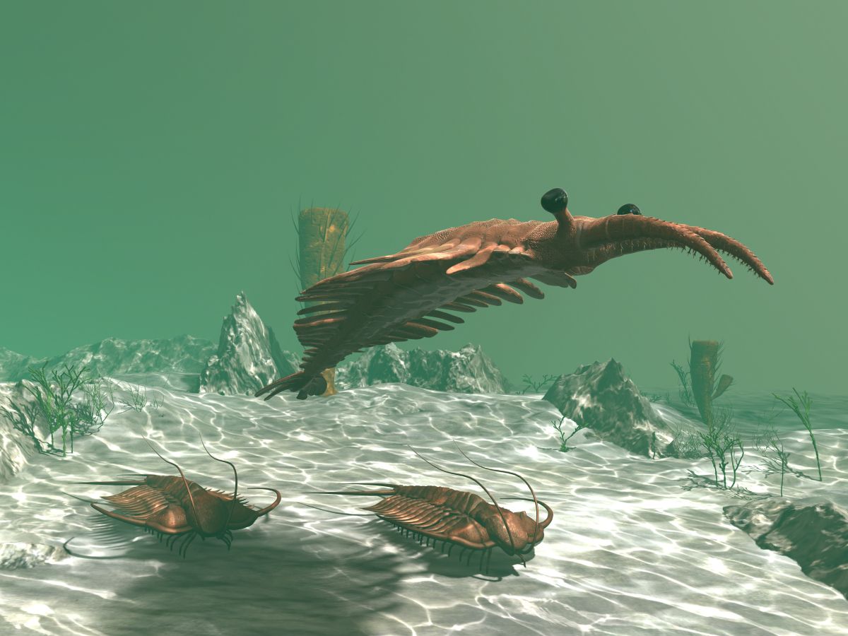 anomalocaris-nad-trilobity