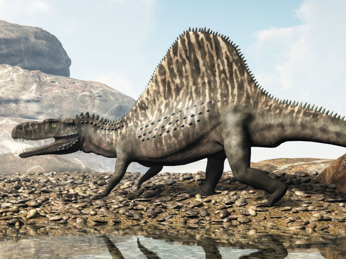 arizonasaurus-praveky-masozravec