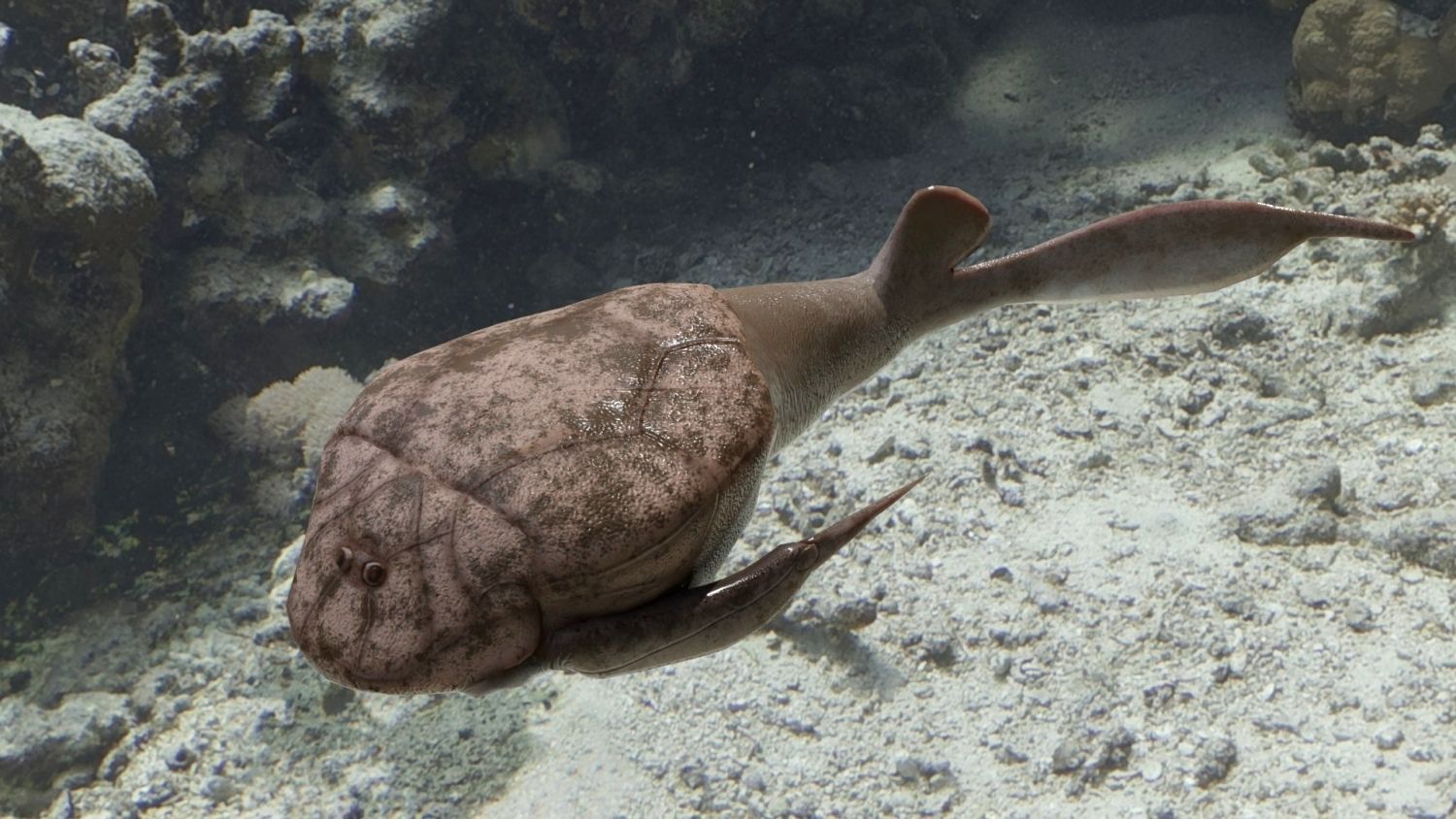 Bothriolepis, pancířnatá ryba devonu s kostěnou hlavou a hrudí, délka kolem 30 cm.