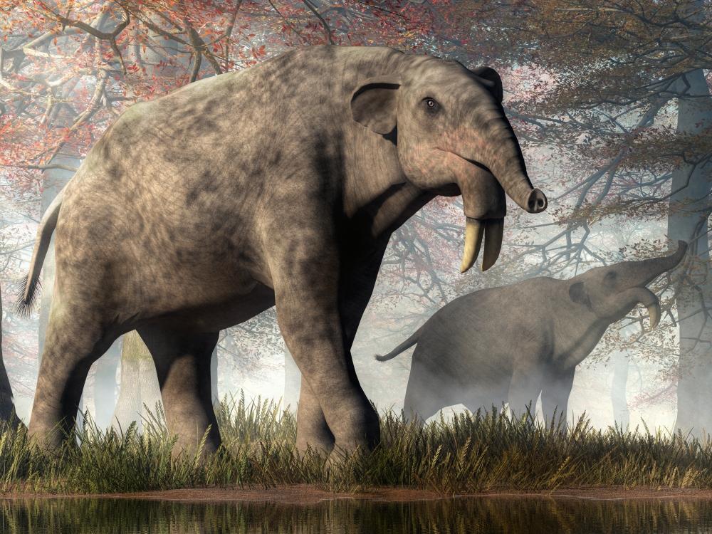 deinotherium-praveke-zvire