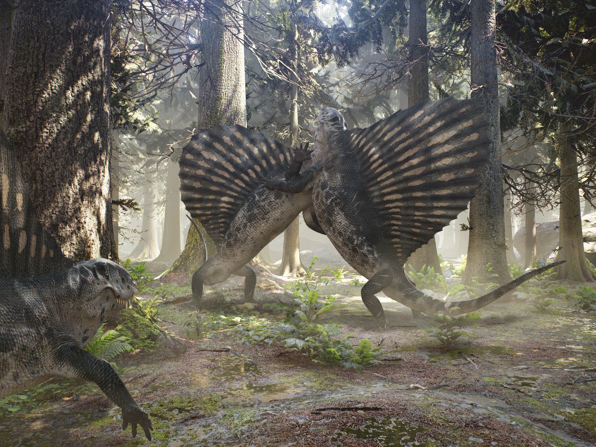 dimetrodoni-souboj-v-lese