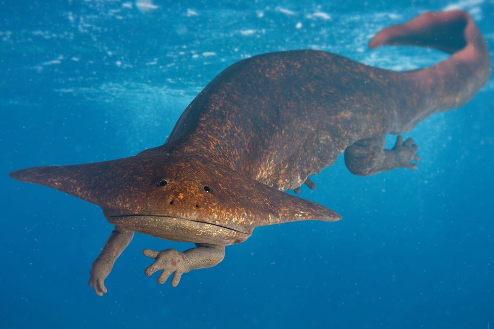 Diplocaulus, pravěký obojživelník pod vodou