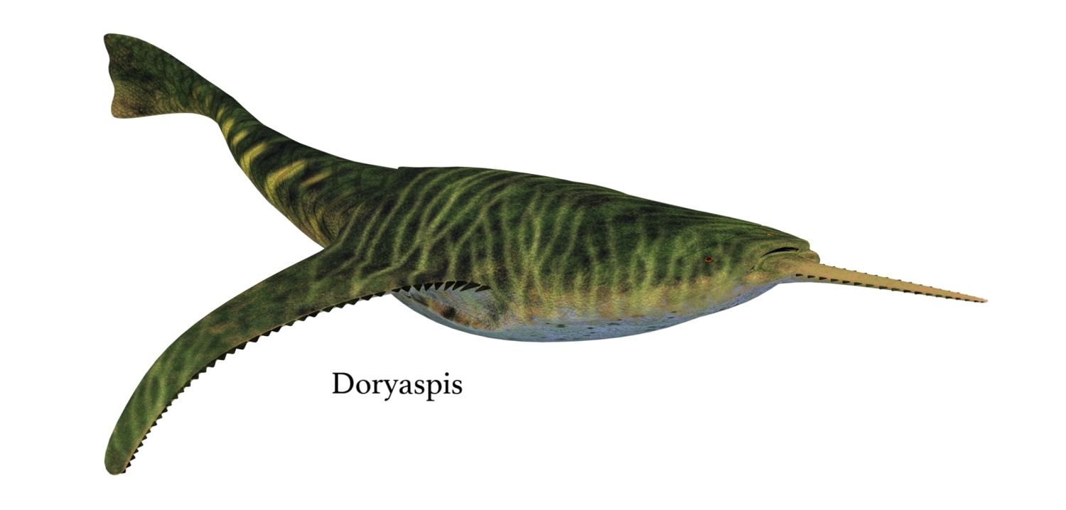 Doryaspis, pancéřnatá bezčelistnatá ryba devonu