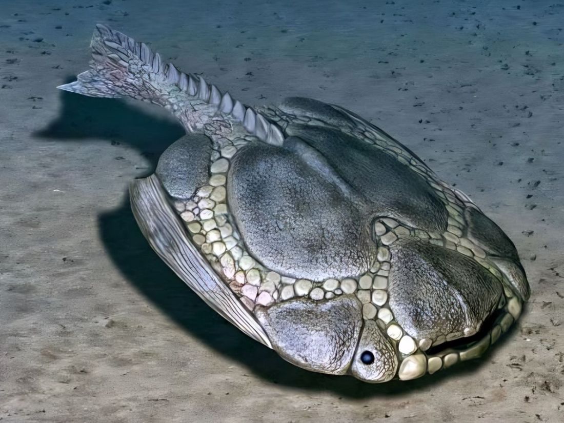 Drepanaspis, bezčelistná ryba z raného devonu.