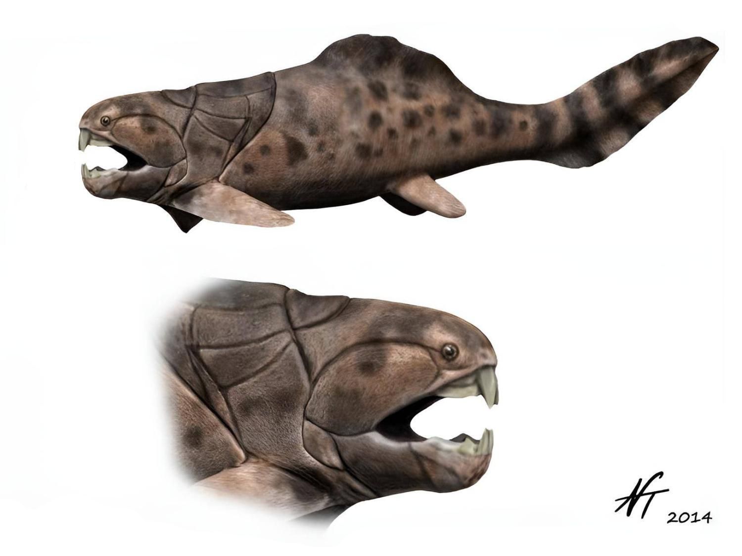 dunkleosteus-obrazek-nobu-tamura
