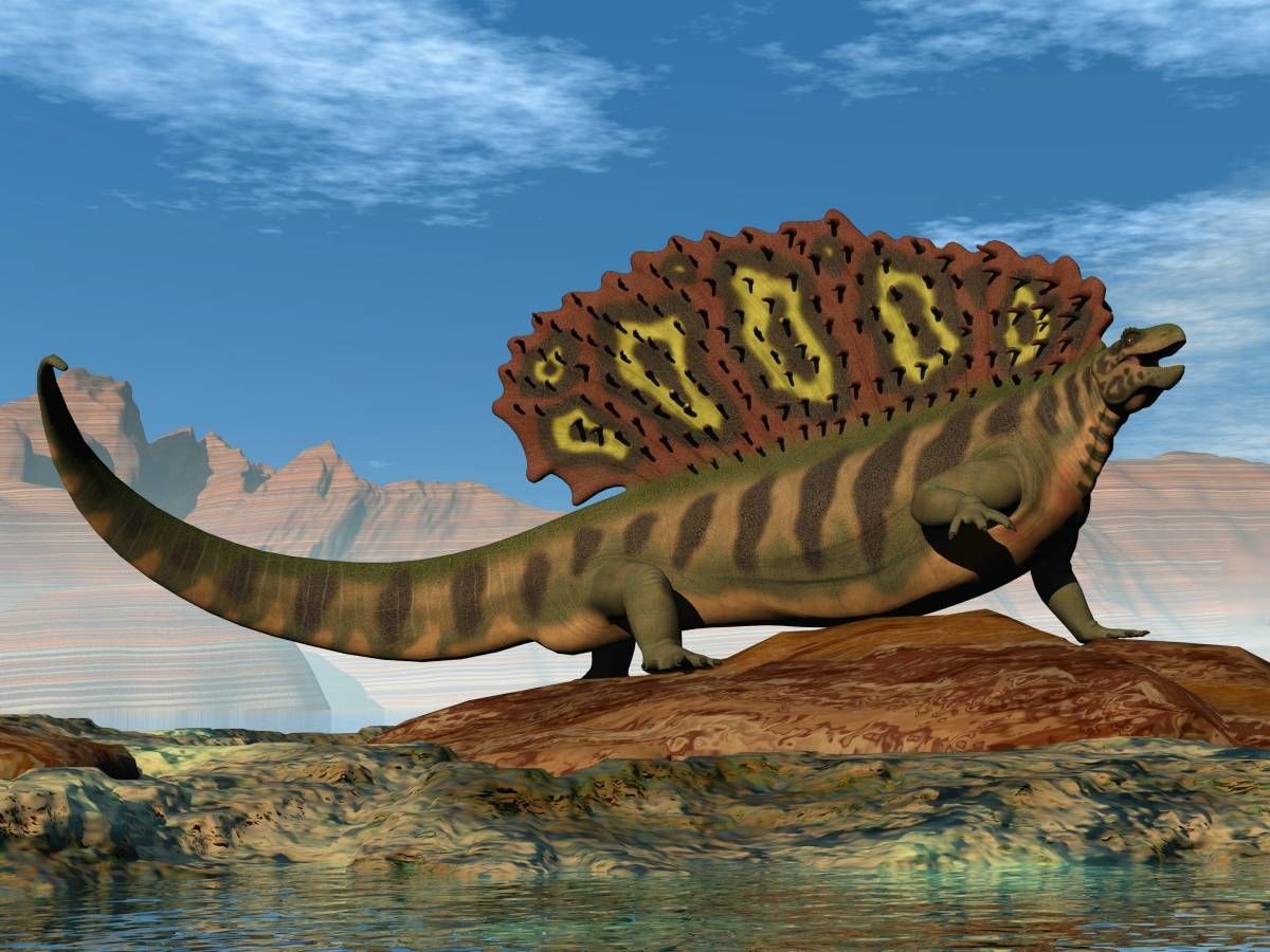 Edaphosaurus, pravěký býložravec s hřbetní plachtou.
