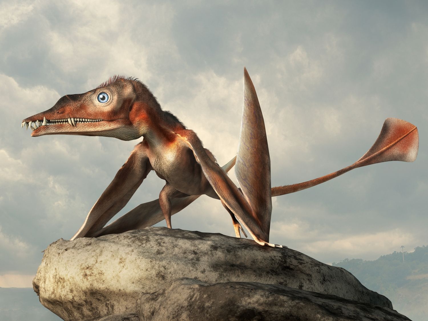 Eudimorphodon, raný ptakoještěr s dlouhým ocasem a ostrými zuby