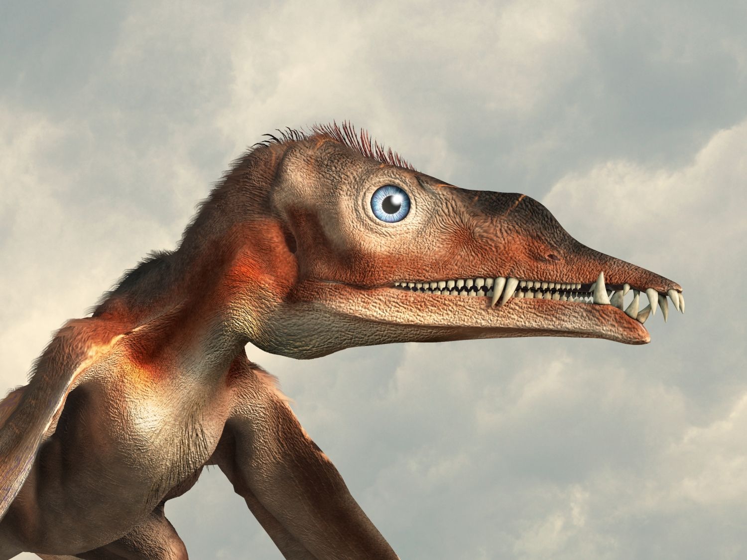 Detailní zobrazení hlavy Eudimorphodona s ostrými zuby, raný pterosaur z triasu.