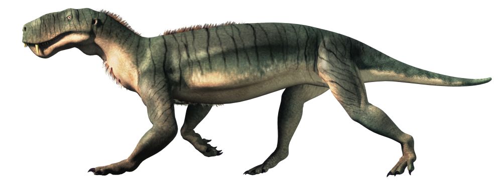 gorgonops-torvus