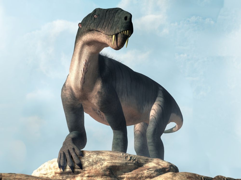 gorgonops