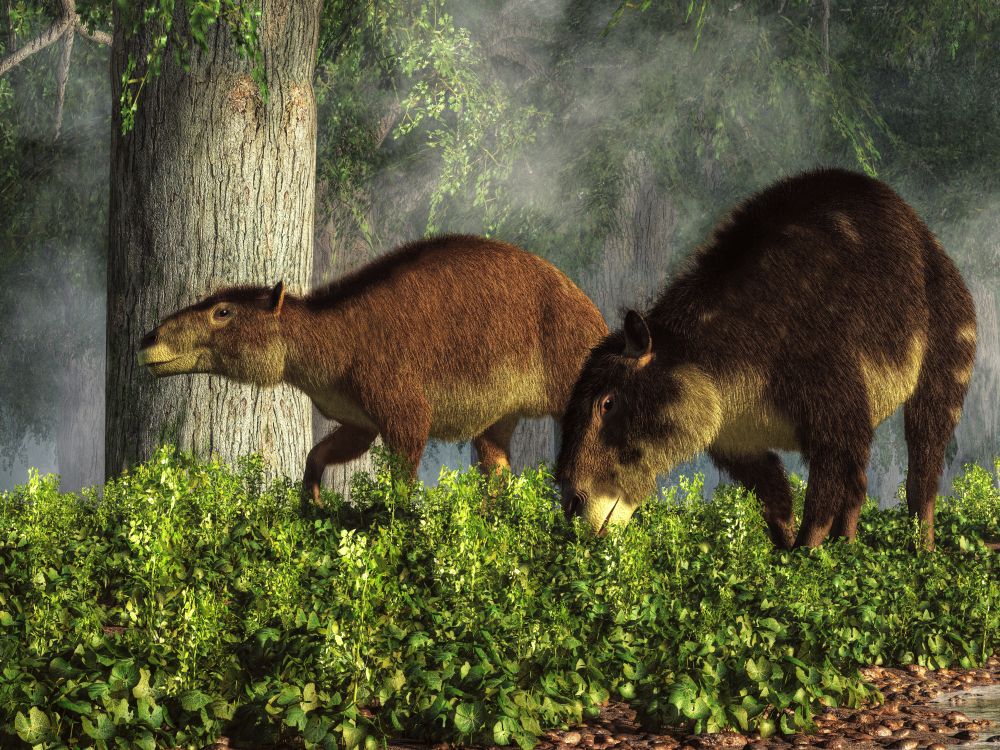 hyracotherium-eohippus-prakonici-v-lese