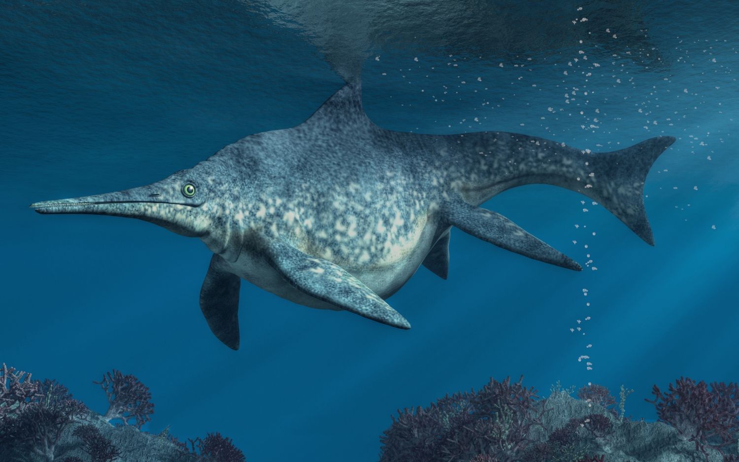 Obří ichtyosaur ryboještěr s mohutným tělem pluje majestátně v oceánských hlubinách.