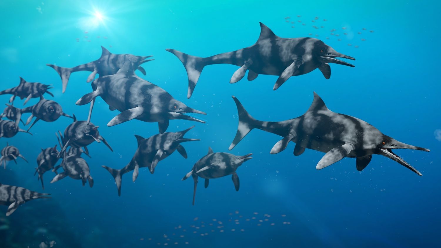 Hejno ichtyosaurů pravěkých ryboještěrů pluje společně v otevřeném oceánu.
