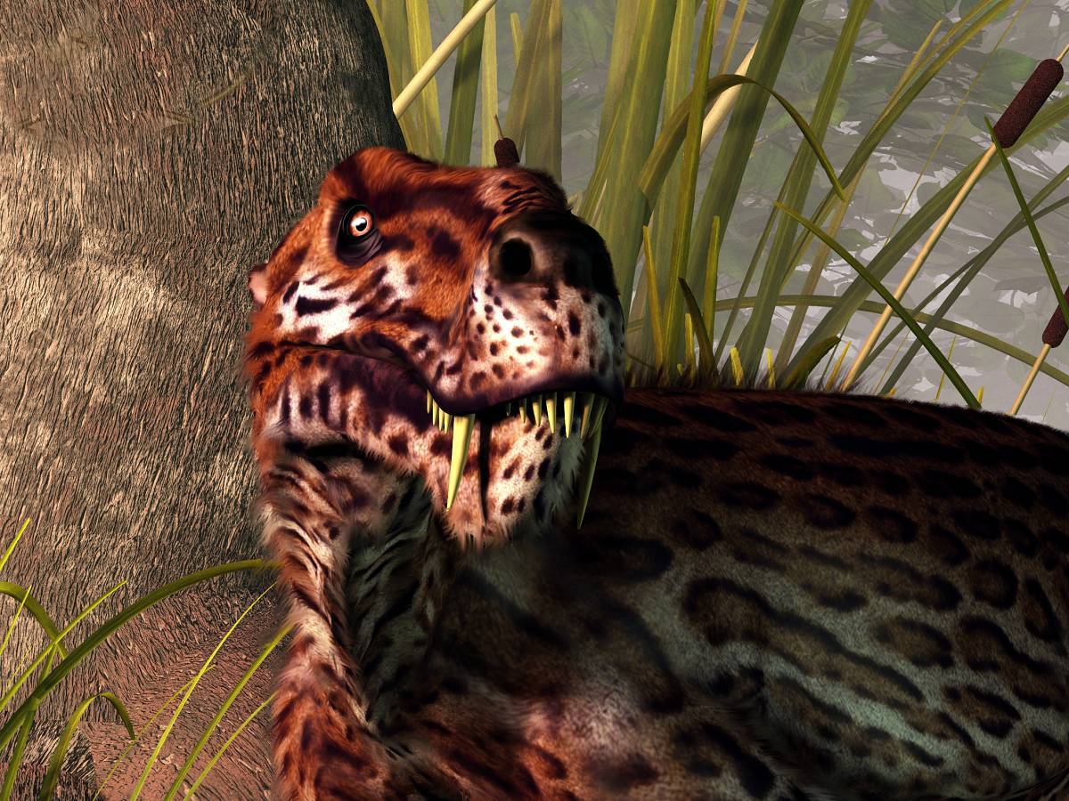 lycaenops-gorgonopsid-detail-hlavy