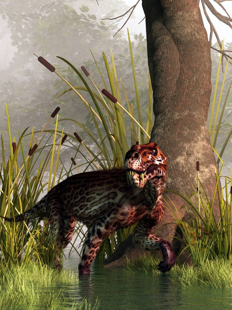 lycaenops-gorgonopsid-paleorekonstrukce