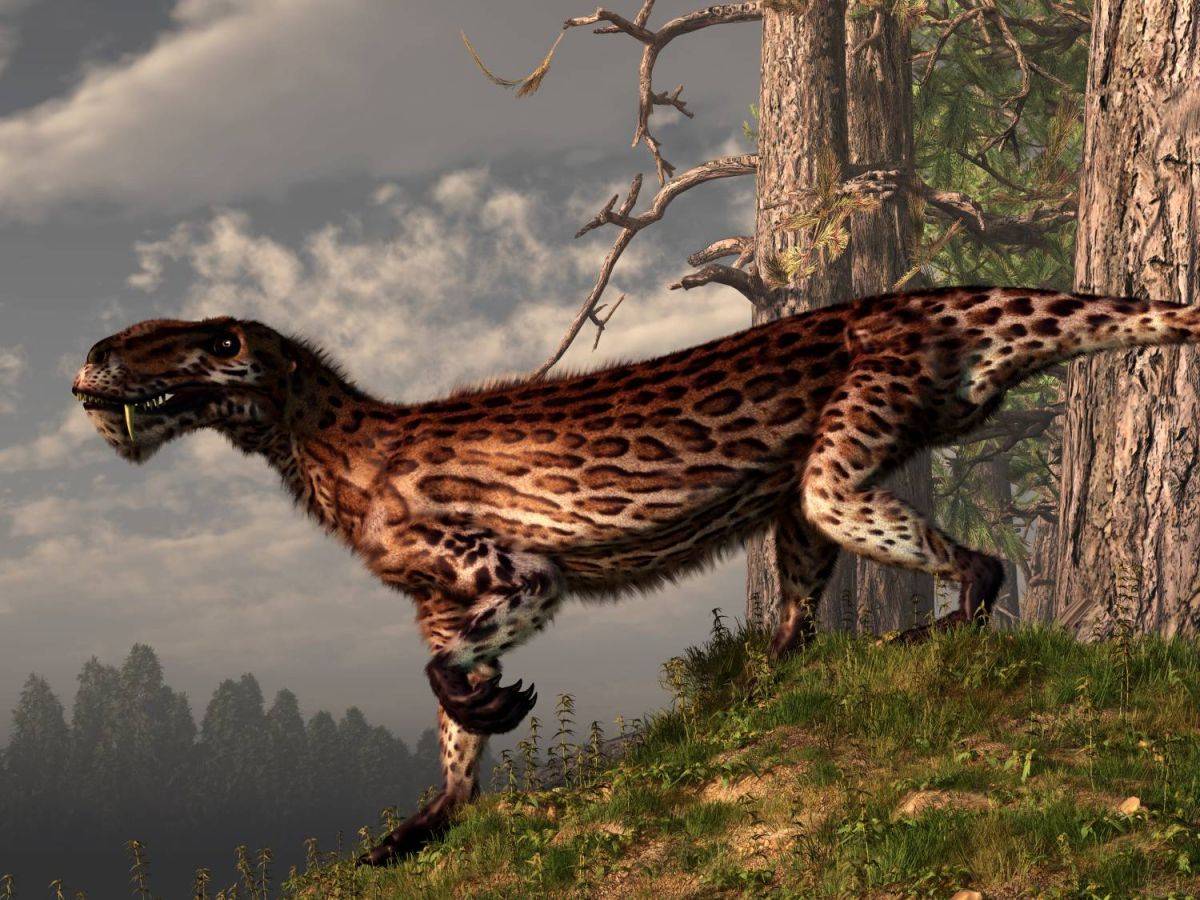 lycaenops-paleorekonstrukce