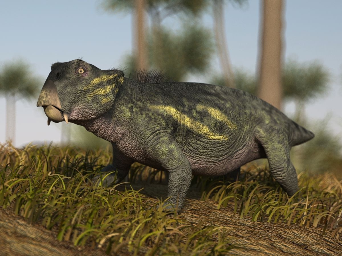 Paleorekonstrukce synapsida Lystrosaurus.