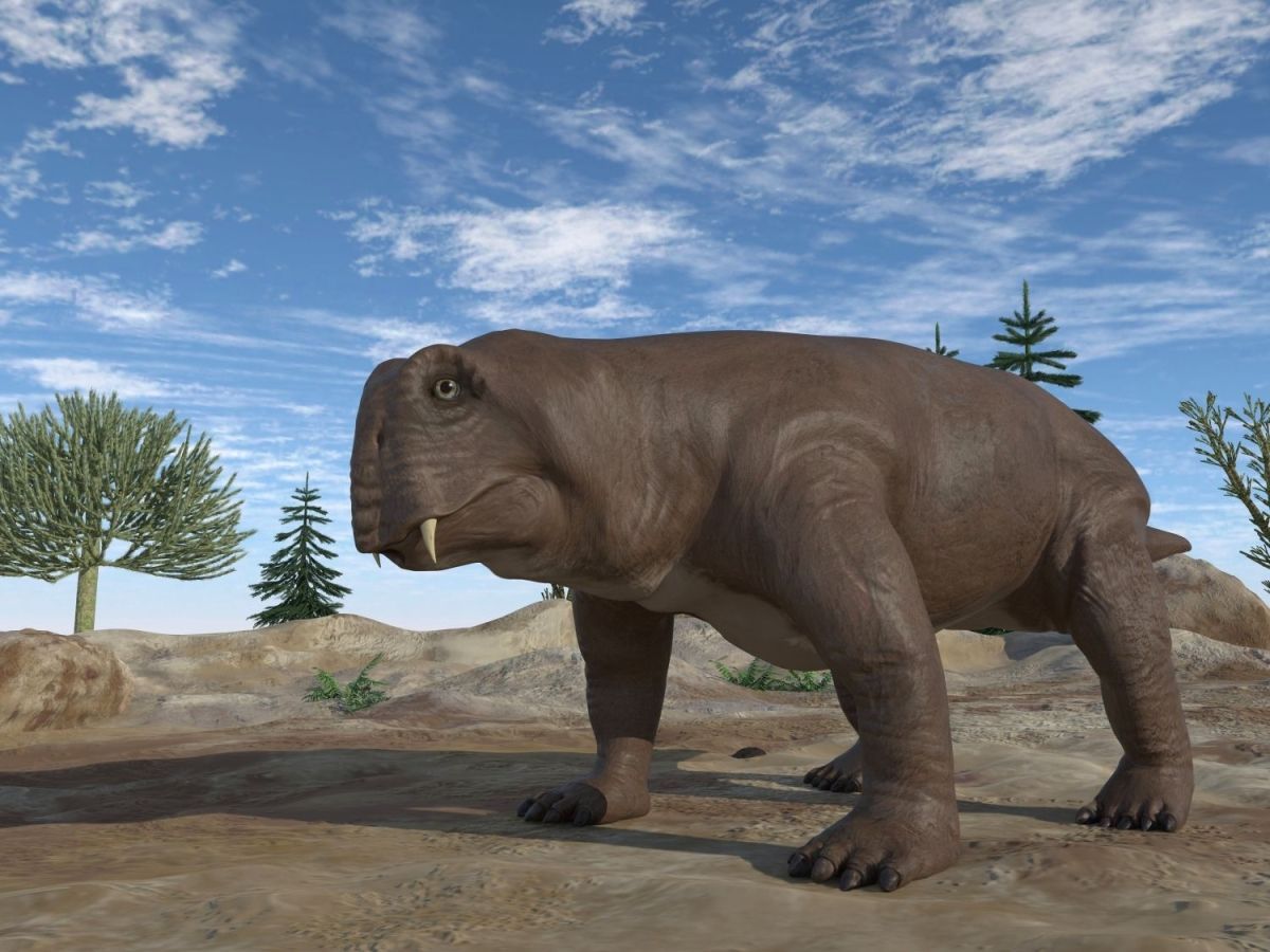Paleorekonstrukce synapsida Lystrosaurus.