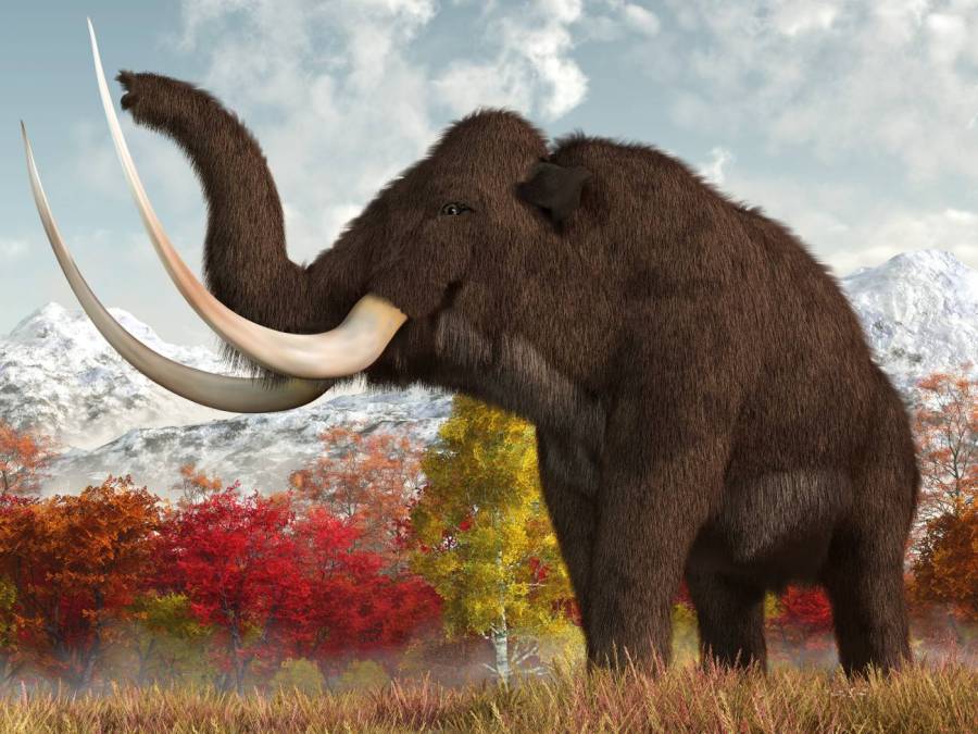 mamut-titan-doby-ledove