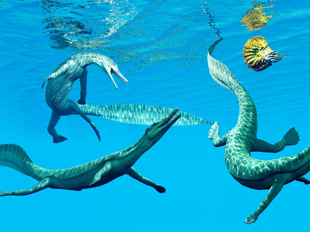 mesosaurus-stredni-jester