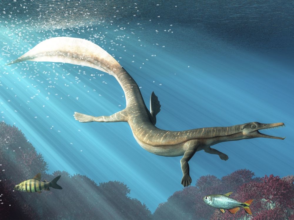 mesosaurus