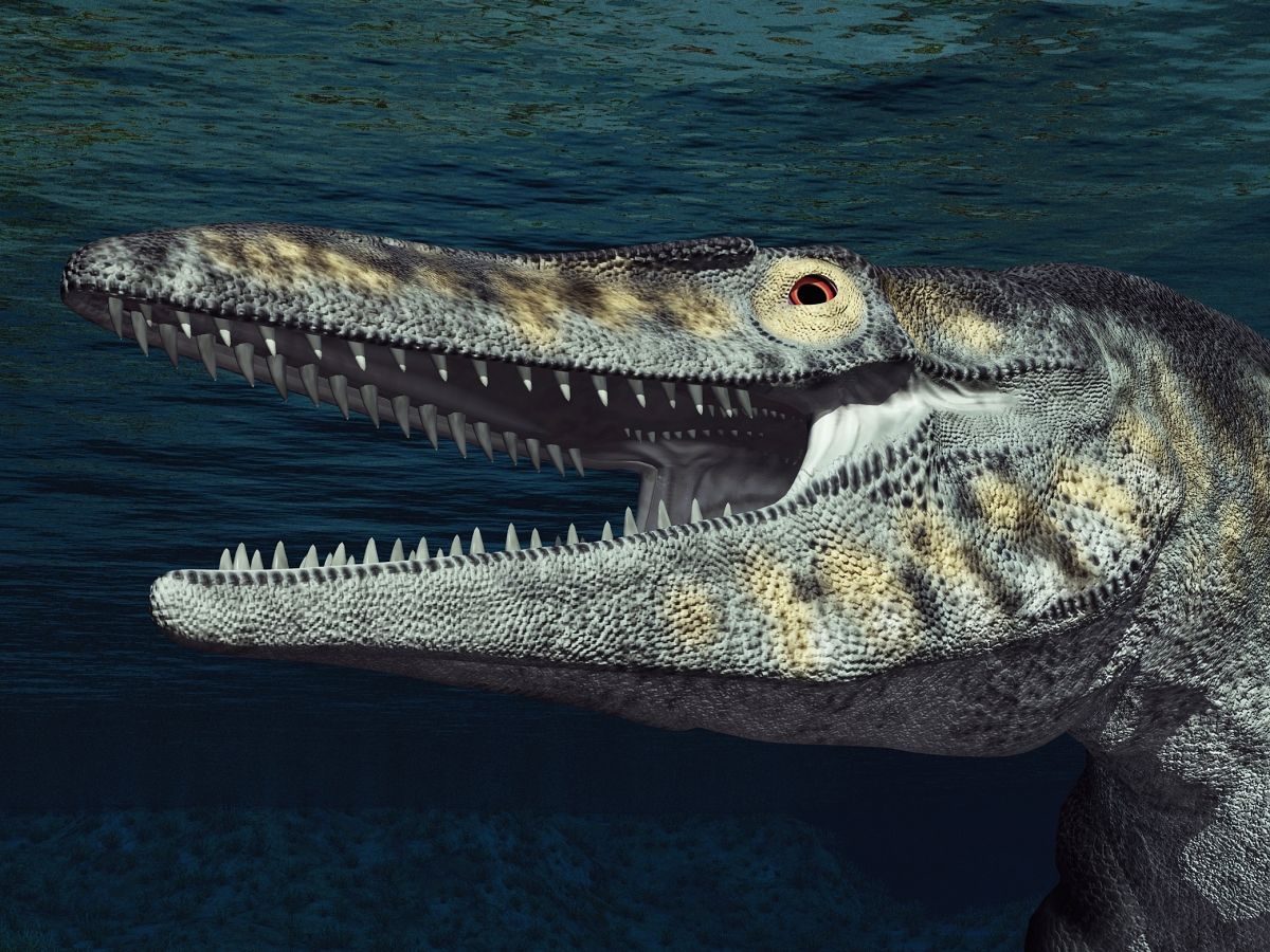 mosasaurus-hlava-zuby