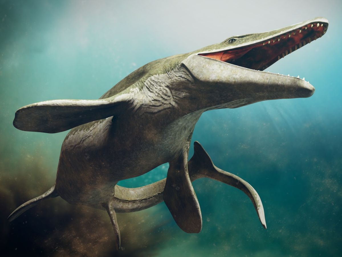 mosasaurus-plavajicí-jester-od-reky-mazy