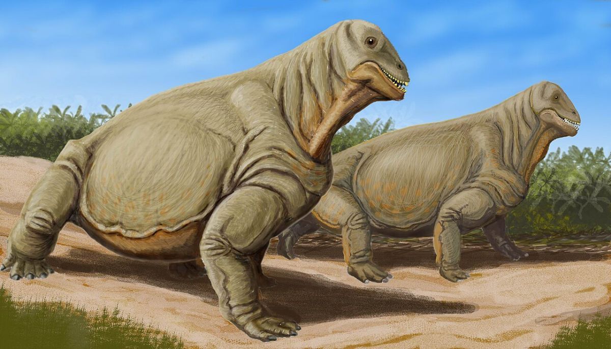 moschops-capensis