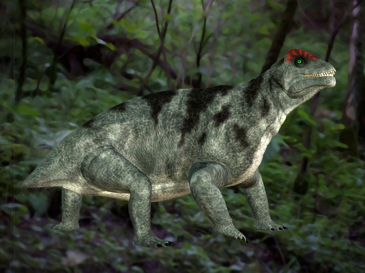 Paleorekonstrukce býložravce Moschops.