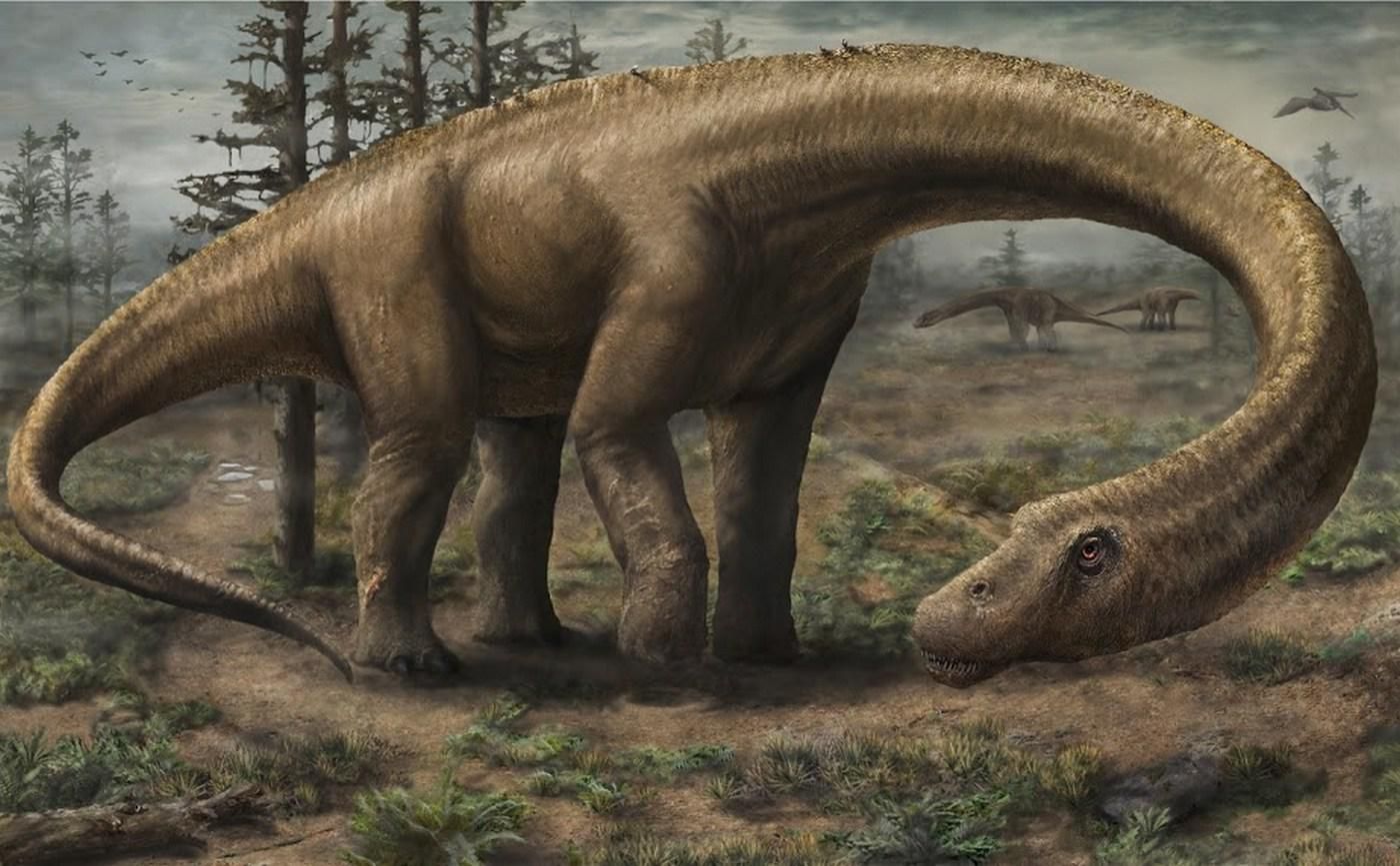 Dreadnoughtus schrani jeden z největších dinosaurů