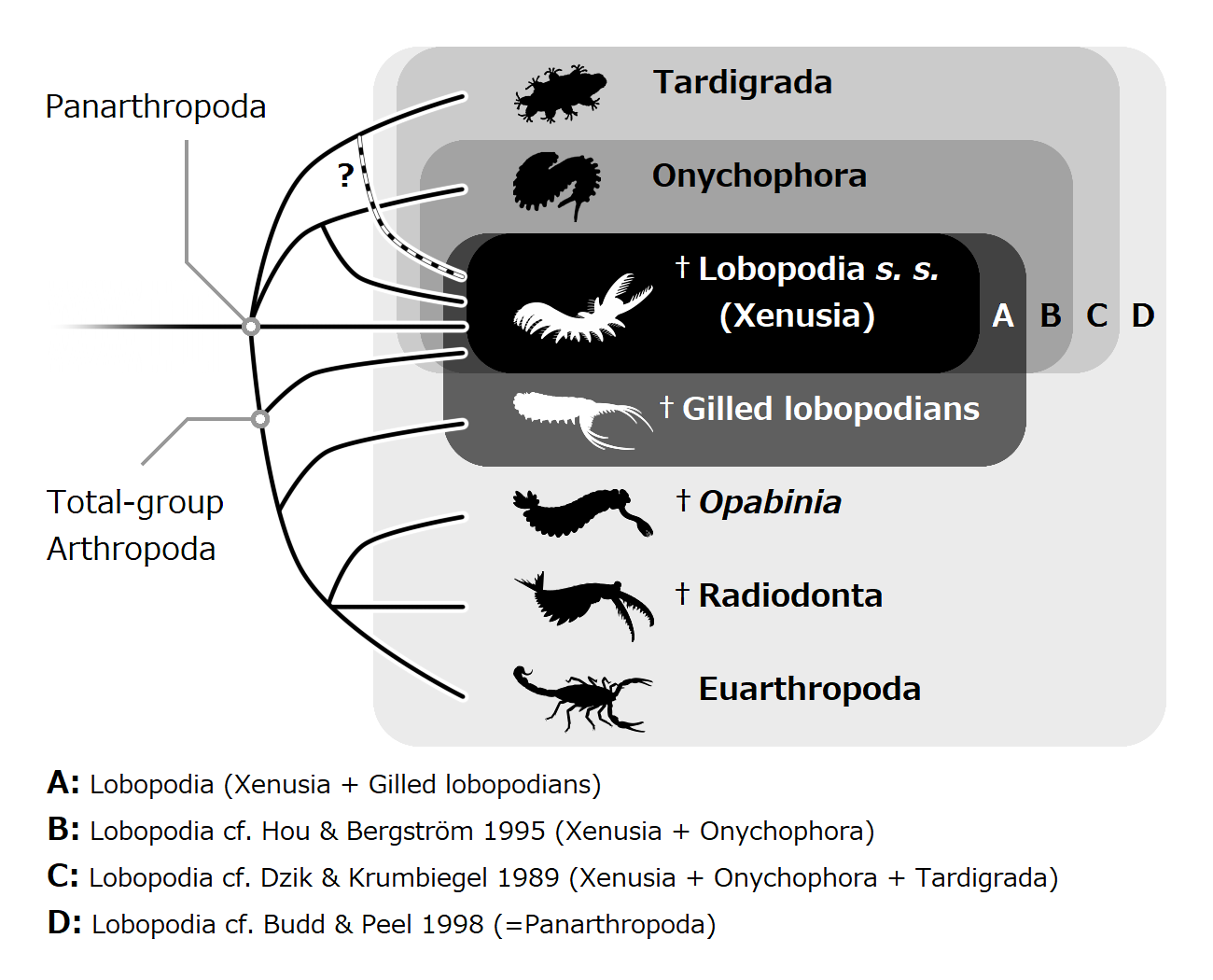 Lobopod_definitions