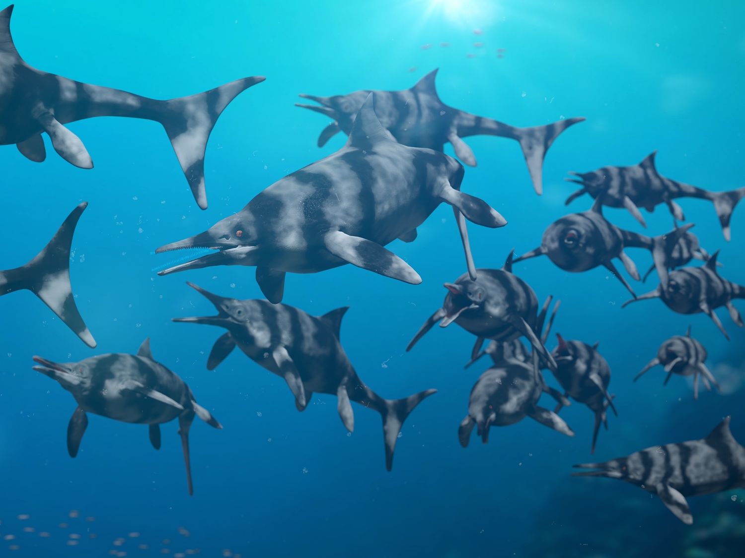 Pravěcí mořští plazi Ophthalmosaurus v hejnu křižují oceán pod mořskou hladinou.