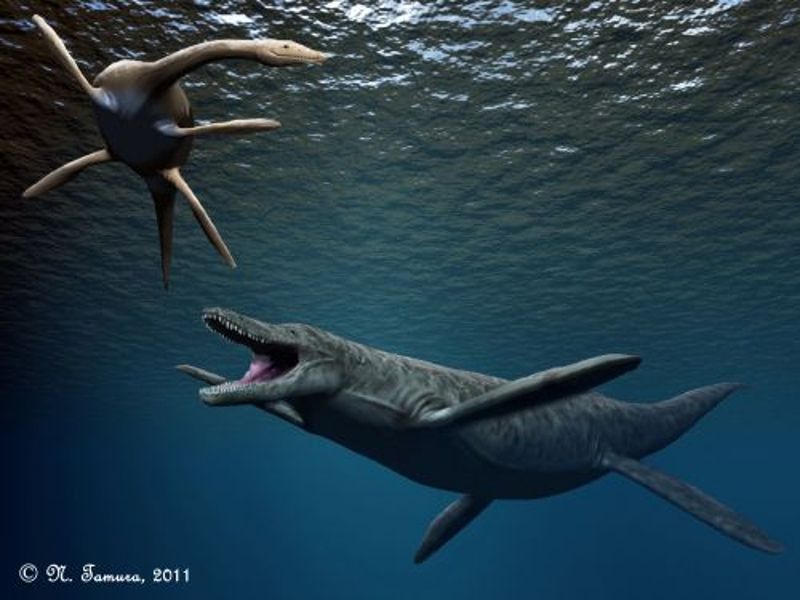 Dlouho i krátkokrký plesiosaurus pod hladinou moře