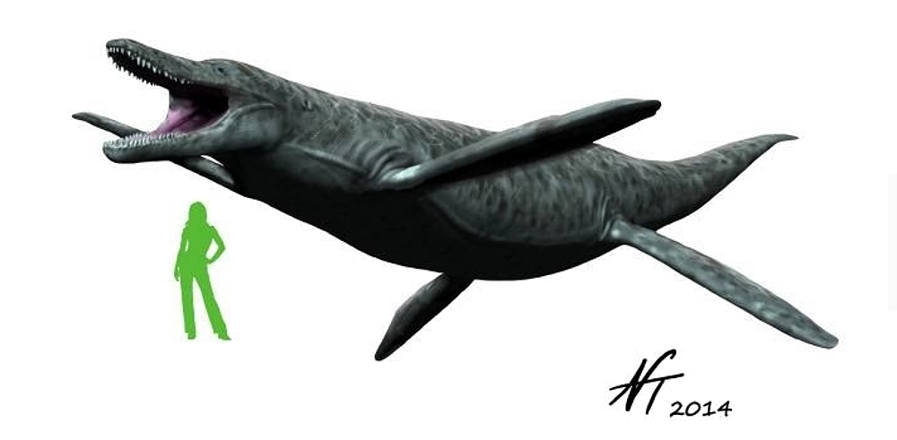 plesiosaurus Kronosaurus v porovnání s lidskou postavou