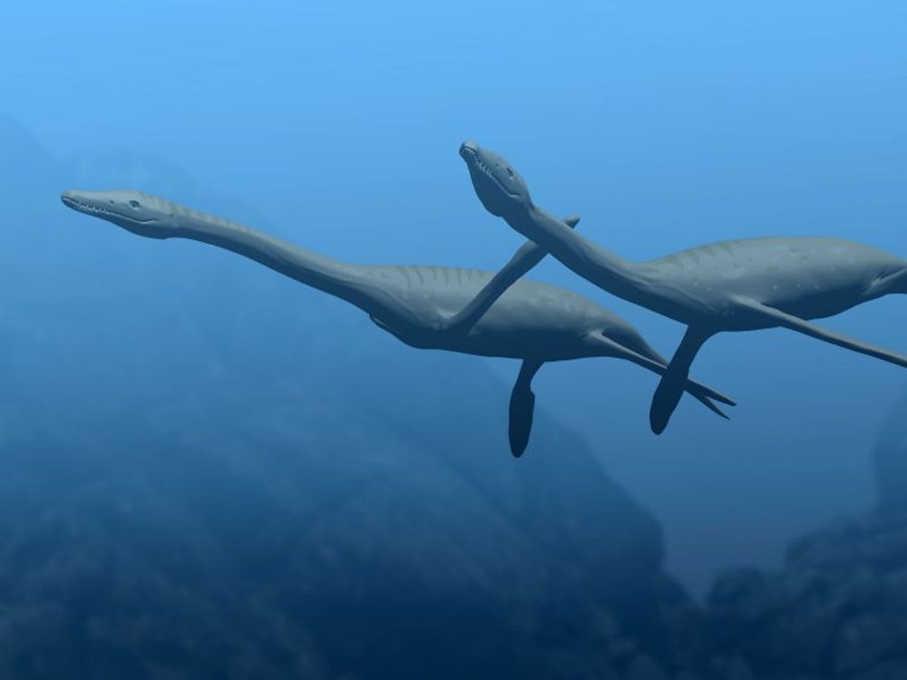 plesiosaurus-dolichodeirus-NT