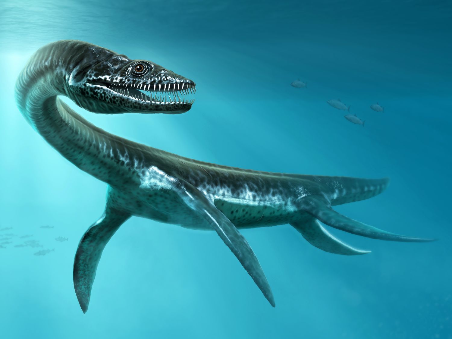 plesiosaurus pod hladiou moře