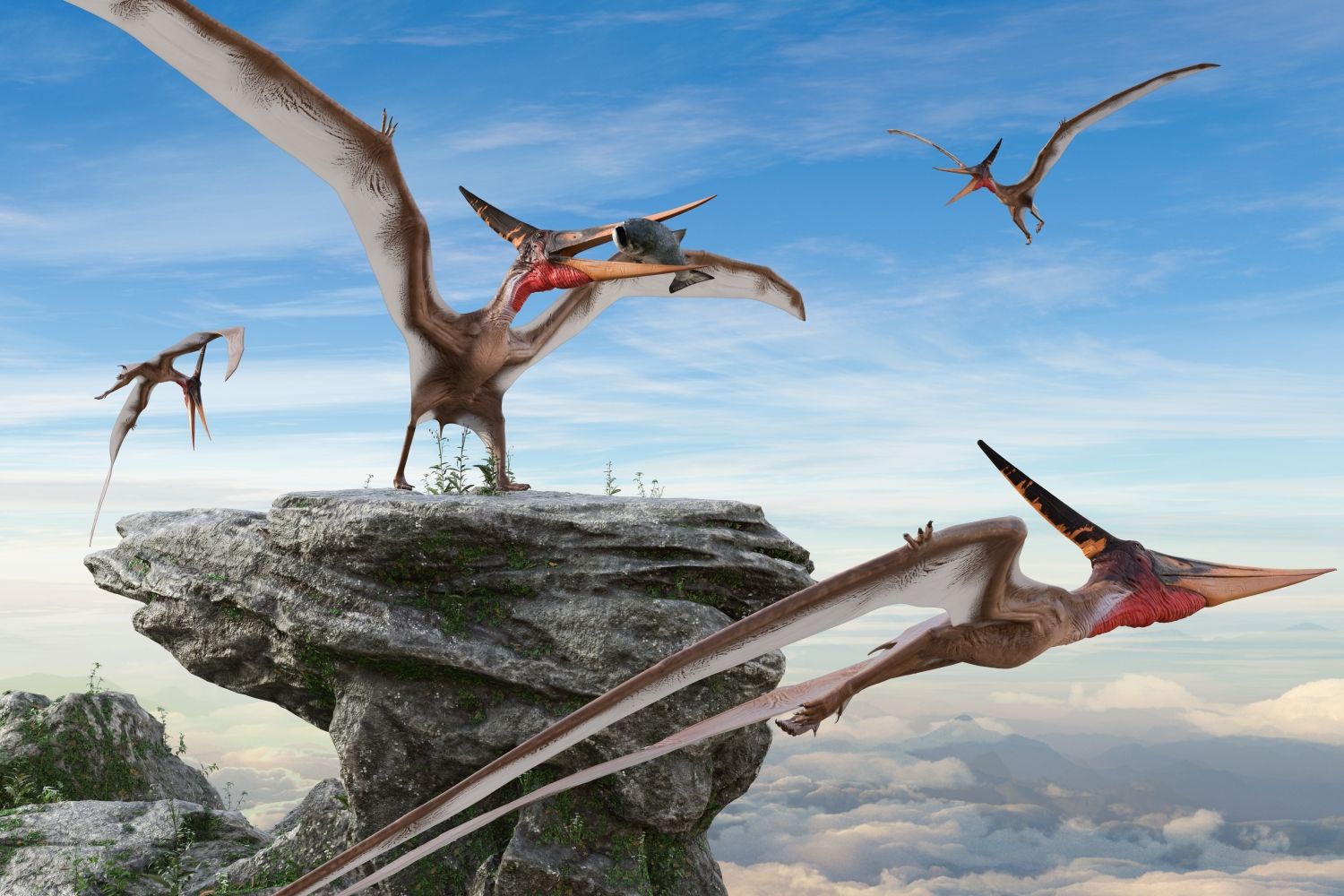 pteranodon-ptakojester