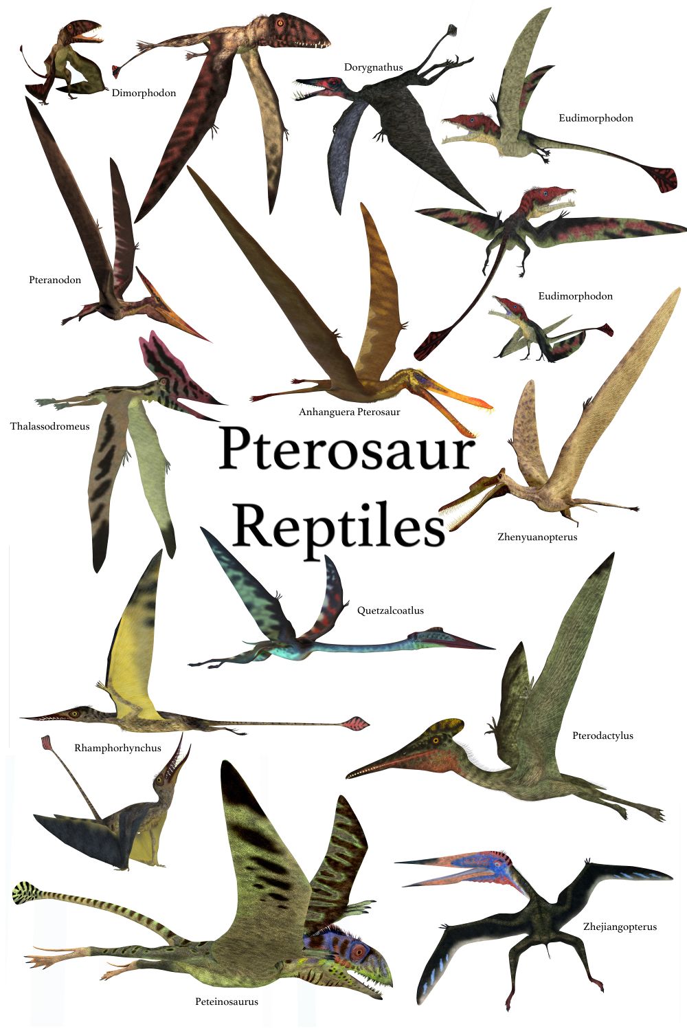 pterosauri-ptakojesteri-druhy