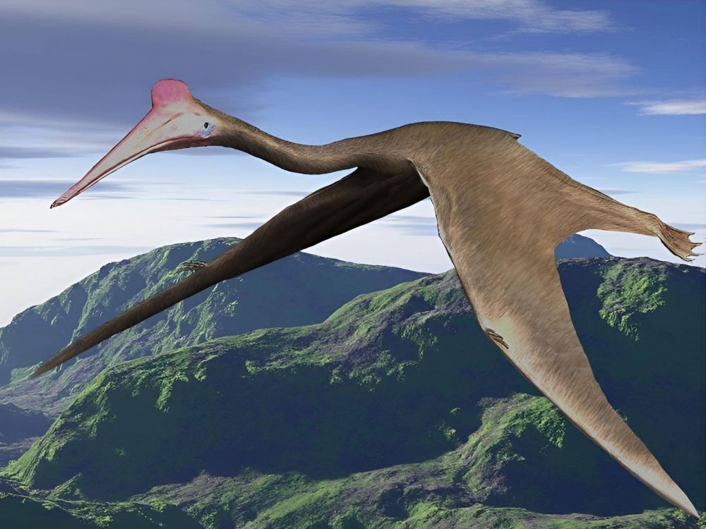 quetzalcoatlus-letici