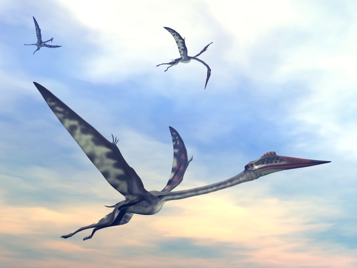 quetzalcoatlus-obri-letajici