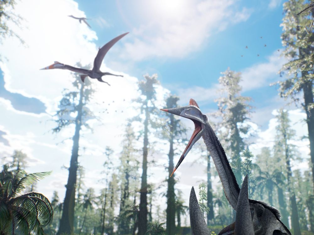 quetzalcoatlus-obri-ptakojester