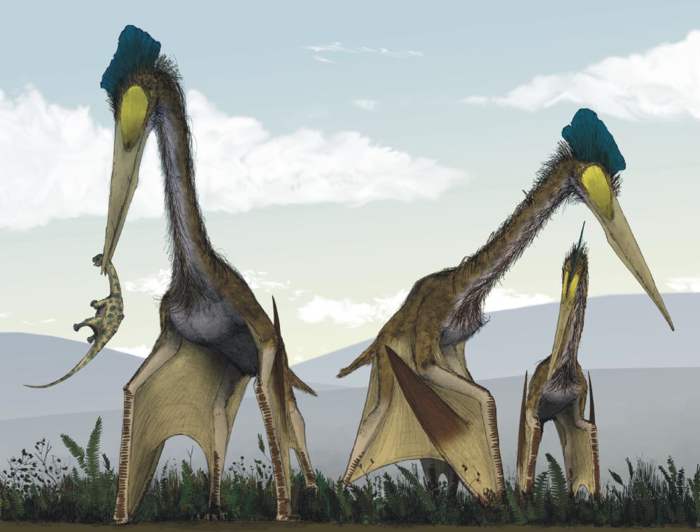 quetzalcoatlus-ptakojester