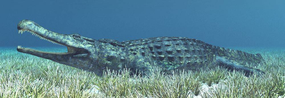 Sarcosuchus krokodyl zvaný super croc