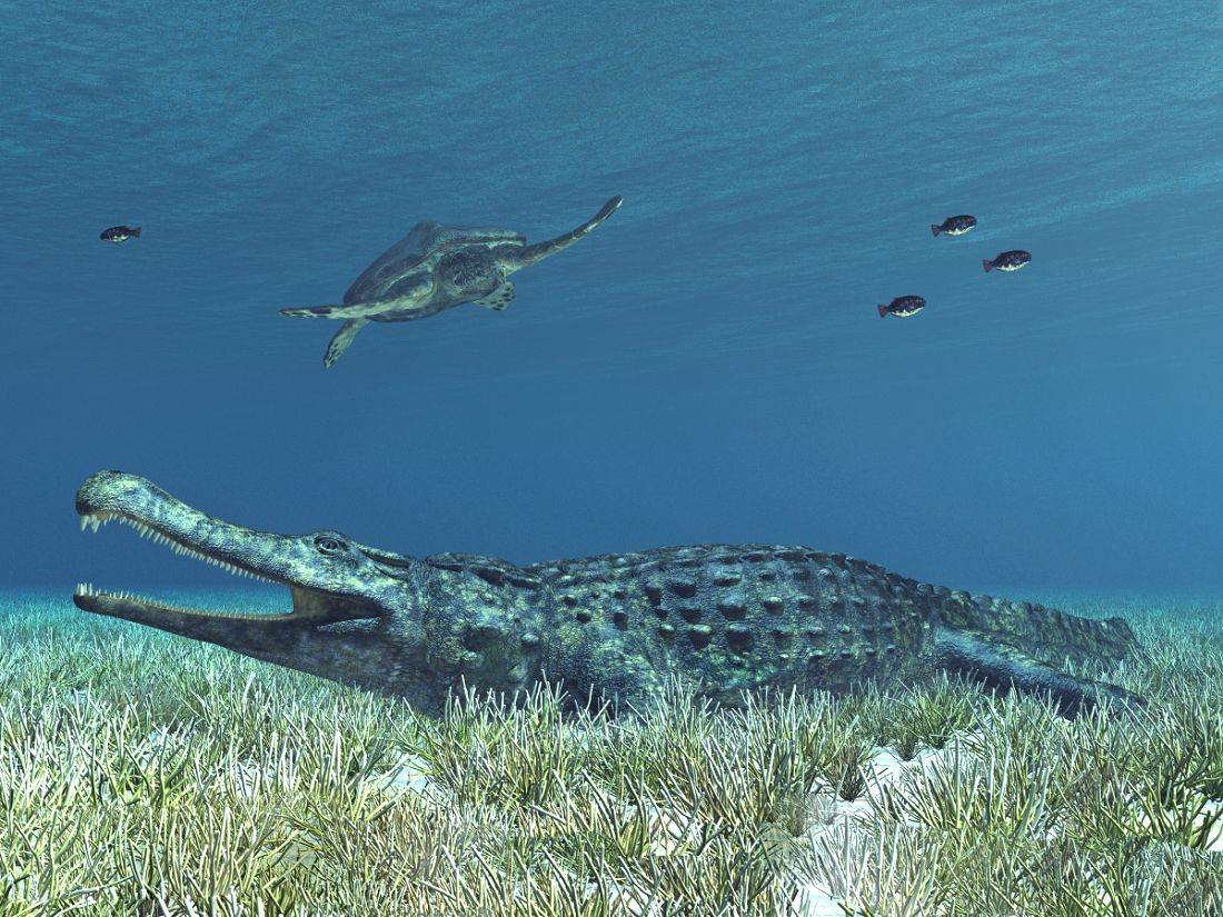 Sarcosuchus v pozadí největší želva archelon