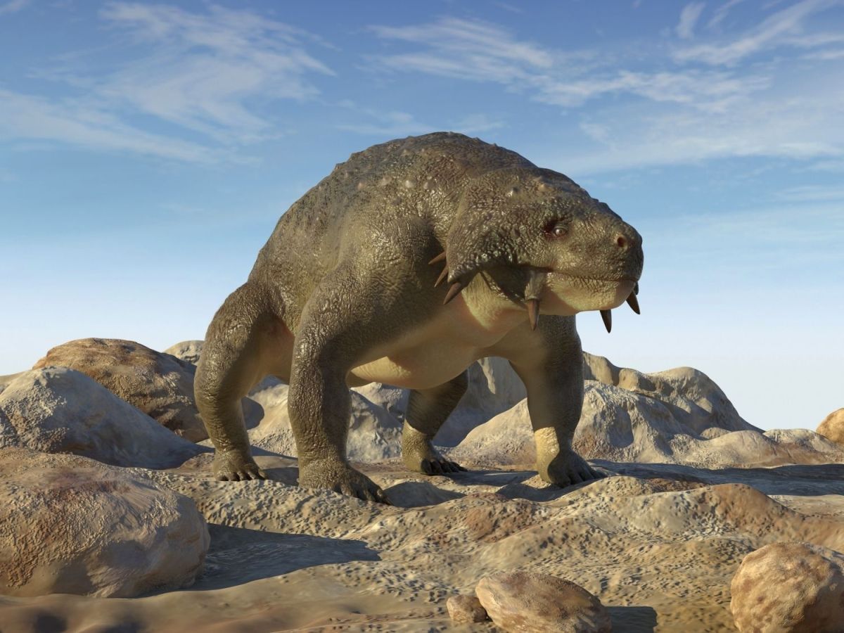 Scutosaurus karpinskii – permský pareiasaur.