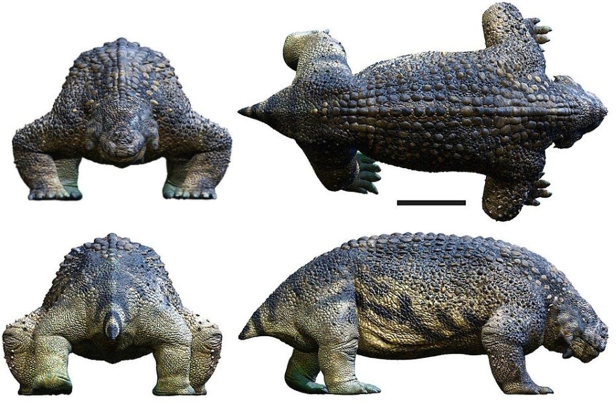 Scutosaurus karpinskii z období pozdního permu.