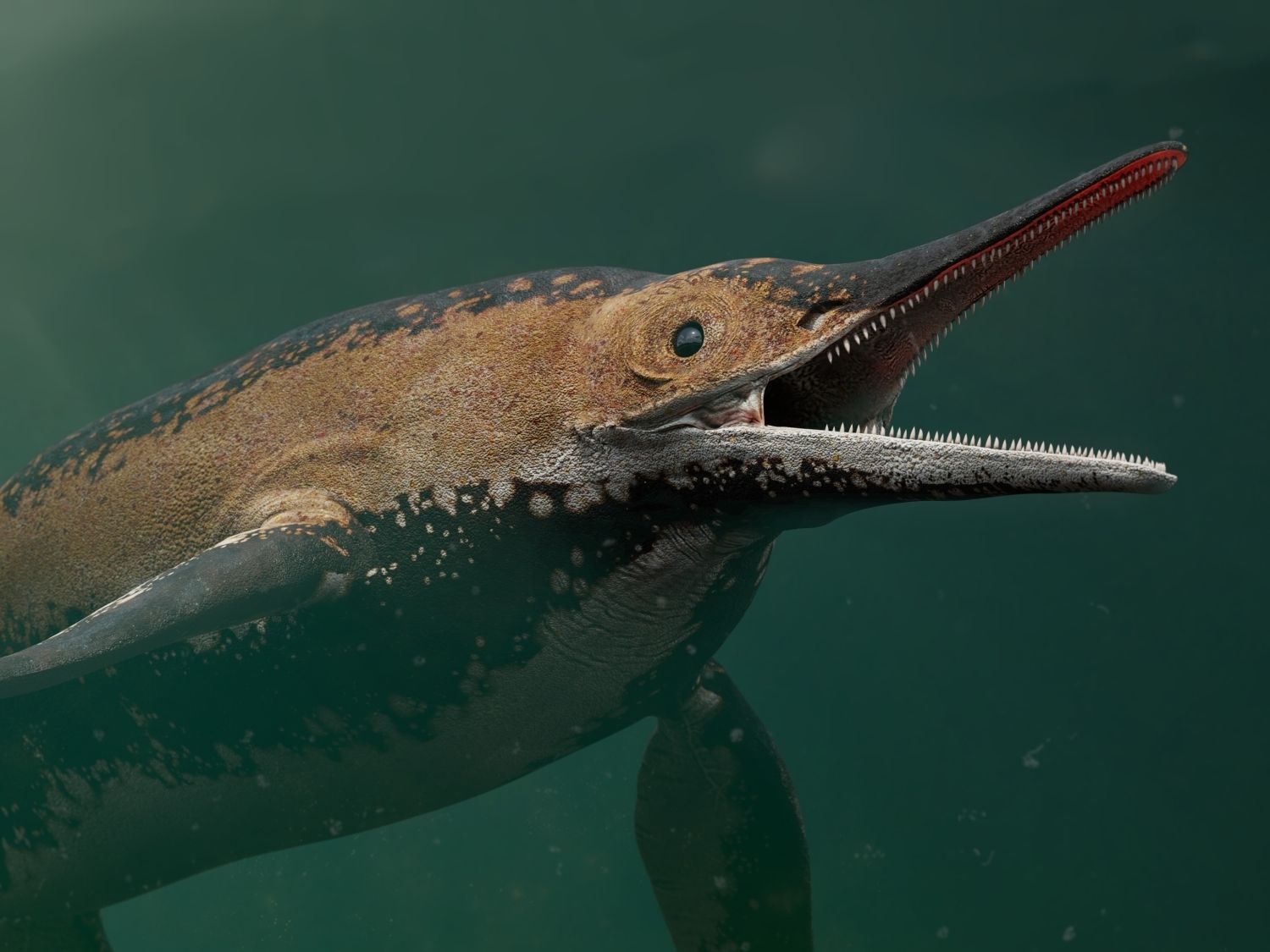 shastasaurus-detail-hlavy
