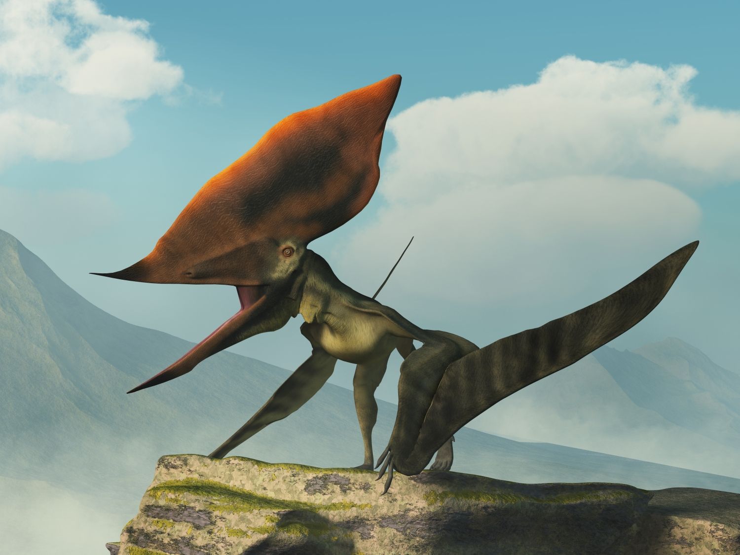 Thalassodromeus ptakoještěr s obřím lebečním hřebenem